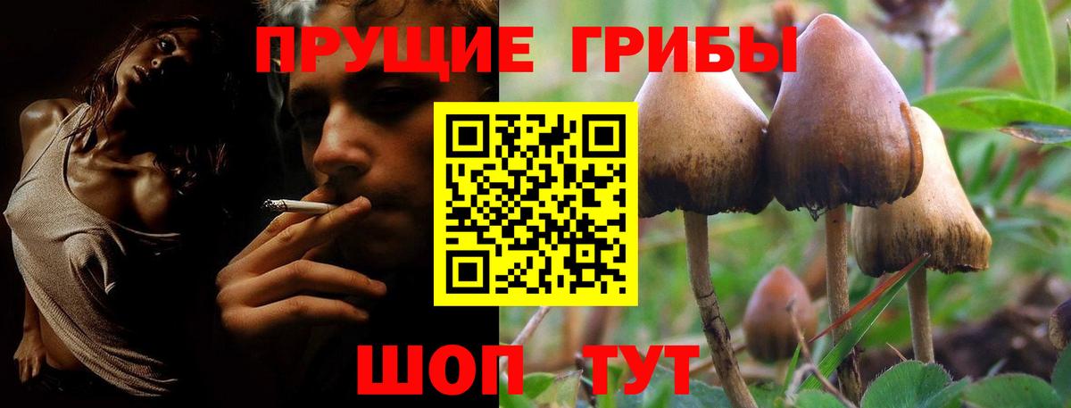 Воскресенск  Псилоцибиновые грибы мухоморы  Вход с VPN  Галлюциногенные грибы MAGIC MUSHROOMS 